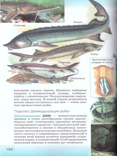 Биология 7 класс. Учебник. ФГОС