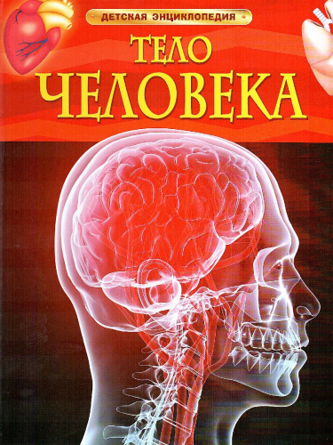 Тело человека (ДЭР)