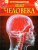 Тело человека (ДЭР)