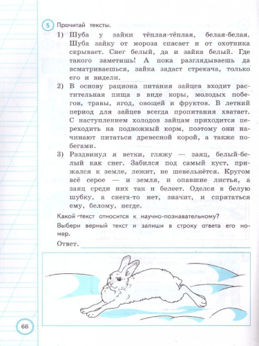 ВПР Литературное чтение 3 класс. Практикум. ФГОС НОВЫЙ