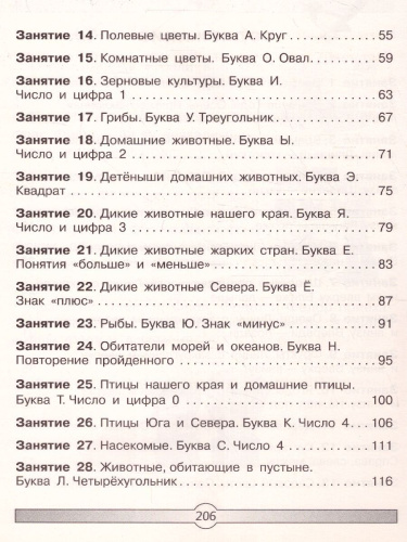 Большой курс подготовки к школе