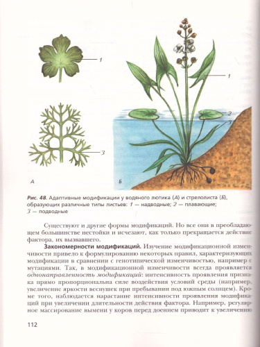 Биология 11 класс. Учебник. Углубленный уровень. ФГОС