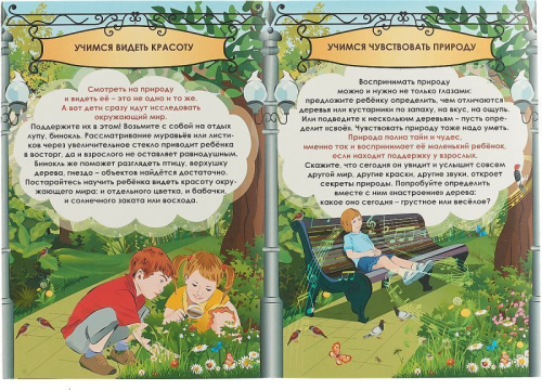 Природоохранные навыки поведения в природных условиях с ребенком в парке. Ширмы с информацией для родителей и детей