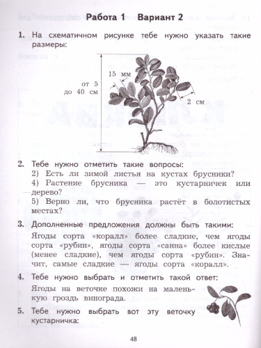 Работа с текстом и информацией 2 класс. Комплексные проверочные работы