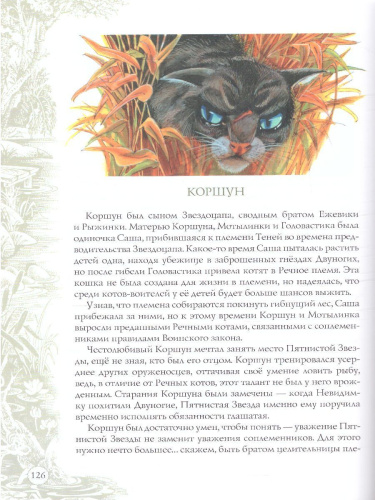 Коты-воители. Подарок. Память племен