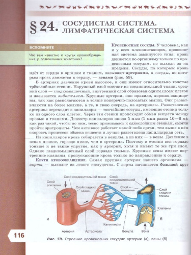 Биология 9 класс. Базовый уровень. Учебник. УМК "Линия жизни" (ФП2022)