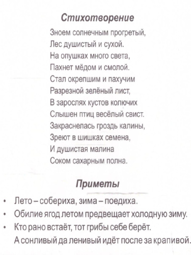 Времена года. Лето: 12 карточек для занятий с детьми