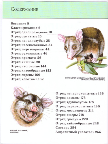 Животные. Полная энциклопедия