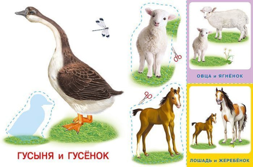 Аппликация с карточками Мама и малыши. Домашние любимцы(Фламинго)
