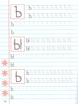 55617696-3