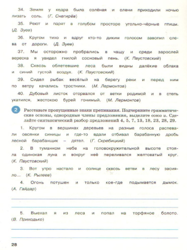 Тренажёр по Русскому языку 5 класс. Пунктуация. ФГОС
