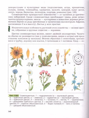 Биология 6 класс. Учебник. ФГОС