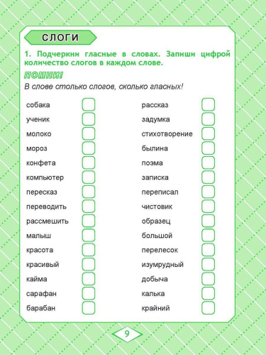 Русский язык 1 класс. Комплексный тренажер