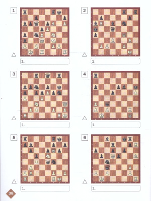 65699055-4