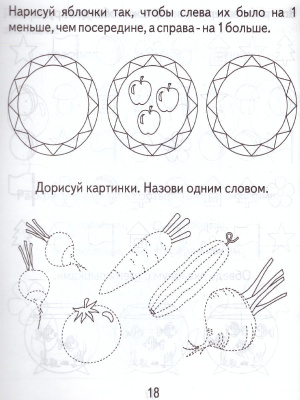 55592798-3