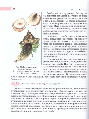 Биология 6 класс. Живые организмы. Растения. Бактерии. Грибы. Учебник