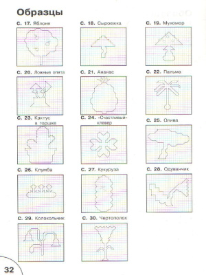 55621758-3