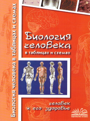 Биология человека в таблицах и схемах. Человек и его здоровье