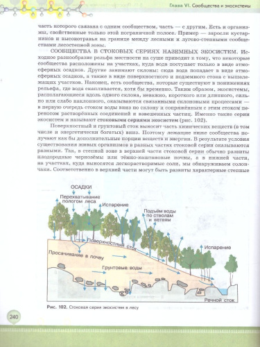 Биология 11 класс. Углубленный уровень. Учебное пособие. ФГОС