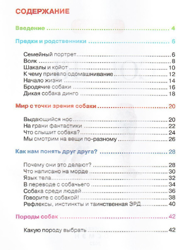 Собаки