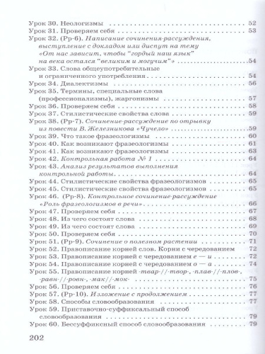 Русский язык 6 класс. Методическое пособие