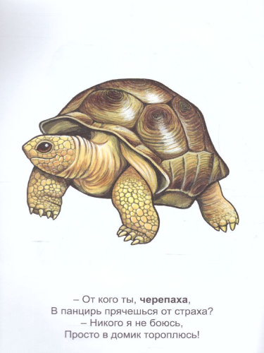Раскраска Малышок "Морские животные и рептилии"