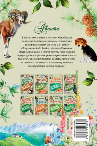 Алый