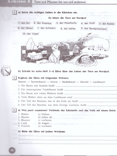 Немецкий язык 5 класс. Рабочая тетрадь. Учебное пособие для общеобразовательных организаций и школ с углубленным изучением немецкого языка