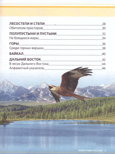Детская энциклопедия "Животные России"