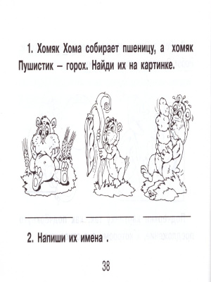 55633771-3