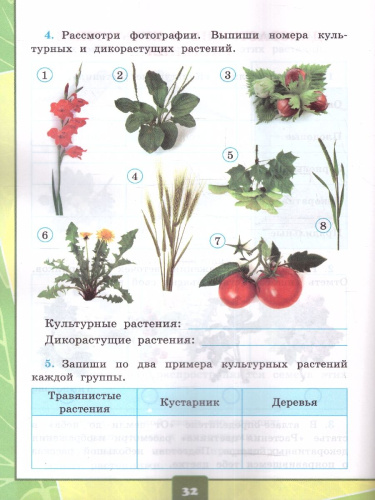 Окружающий мир 2 класс. Тетрадь для практических работ с дневником наблюдений. Часть 1. ФГОС (к новому учебнику)
