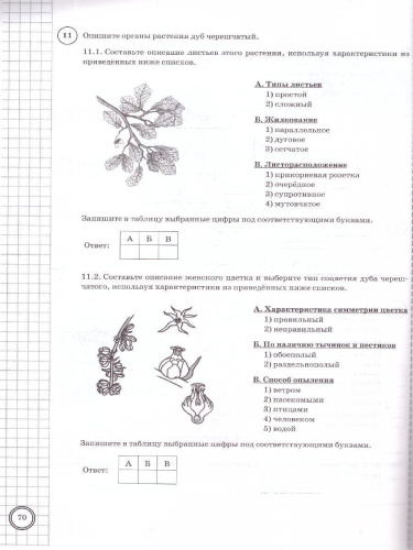 ВПР Биология 6 класс. Типовые задания. 10 вариантов. ФИОКО СТАТГРАД. ФГОС НОВЫЙ