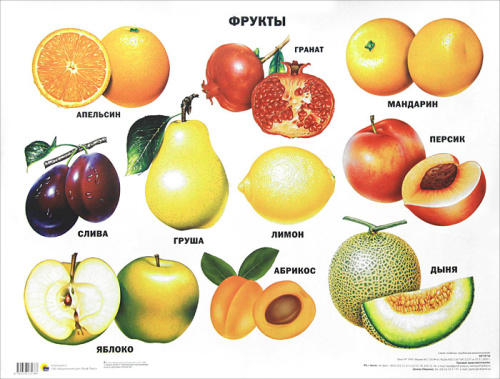Плакат. Фрукты