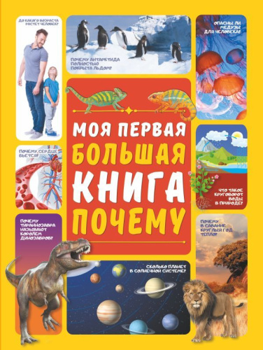 Моя первая большая книга ПОЧЕМУl