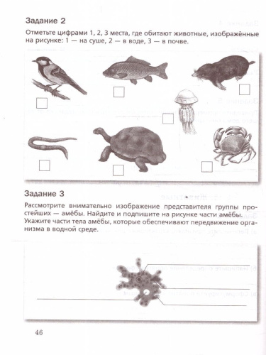 Биология 5 класс (линейный курс). Базовый уровень. Рабочая тетрадь. К новому учебному пособию. ФГОС