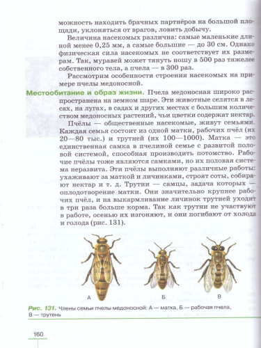 Биология 8 класс Животные: линейный курс. Учебник