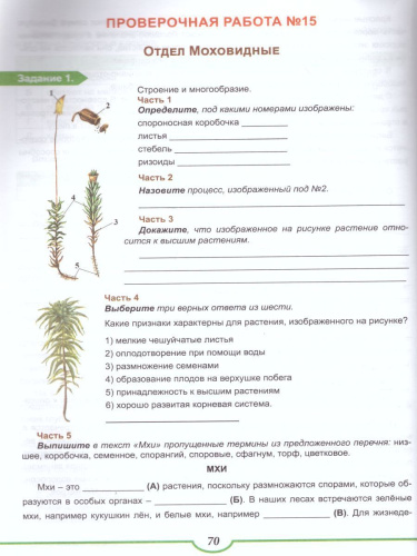 Подготовка к ВПР. Биология 6-7 класс. Растения. Тренажёр. ФГОС